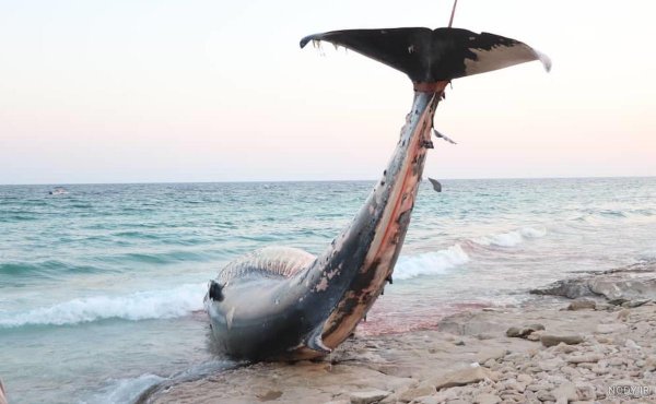  عکس جزیره کیش از بالا