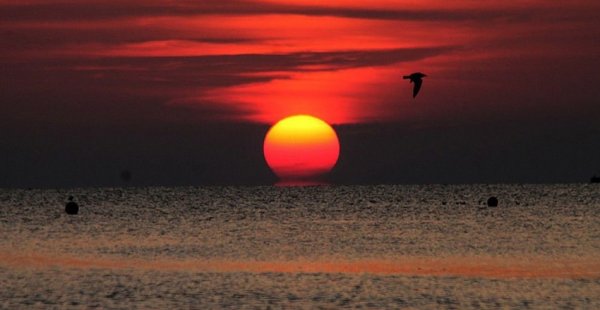  عکس ساحل مرجان کیش