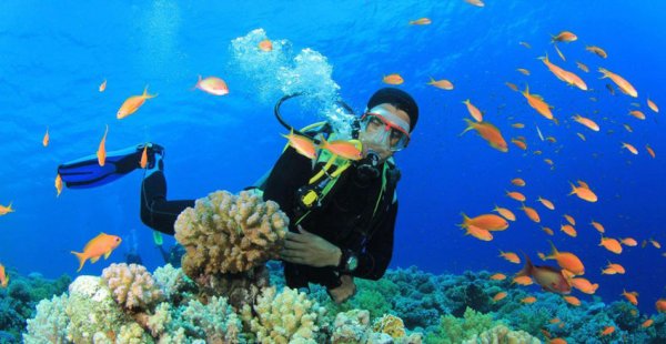  عکس ساحل مرجان کیش