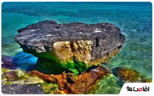  عکس کیش جدید