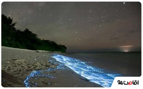  عکس کیش جدید