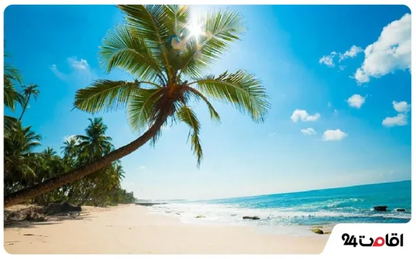  عکس کیش جدید