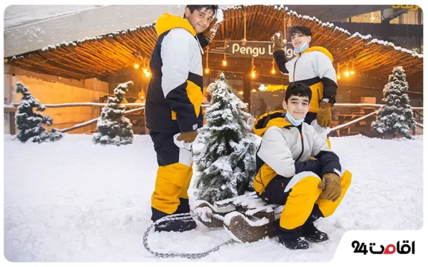  عکس کیش جدید