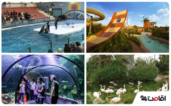  عکس کیش جدید