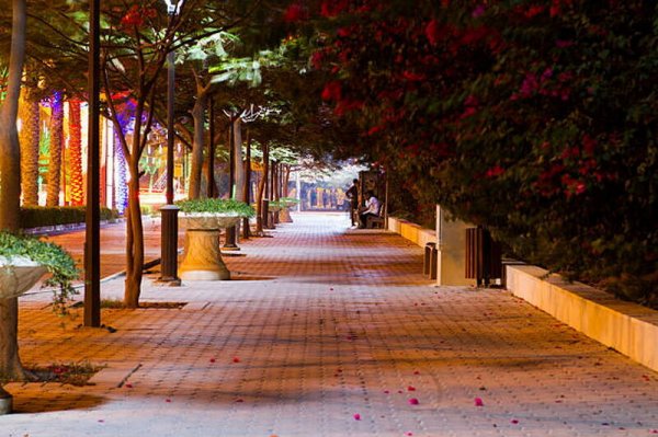  عکس کیش برای استوری