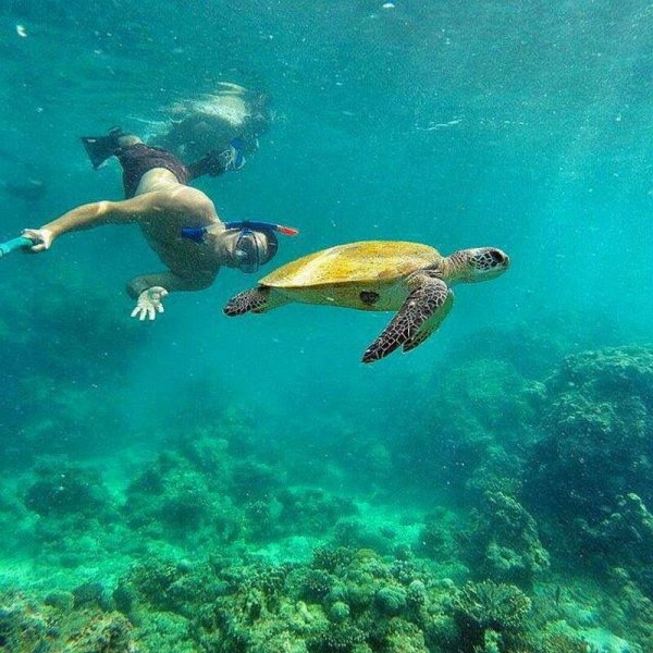  عکس کیش برای استوری