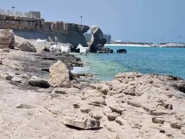  70 عکس جاهای دیدنی کیش