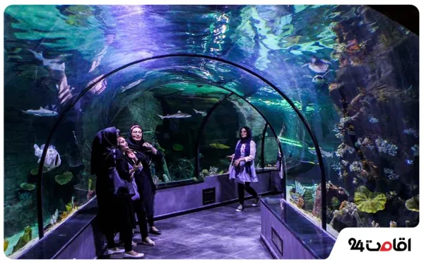  60 عکس جاهای لاکچری کیش