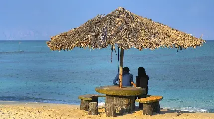  عکس کیش برای پروفایل