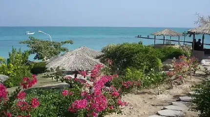  عکس کیش برای پروفایل