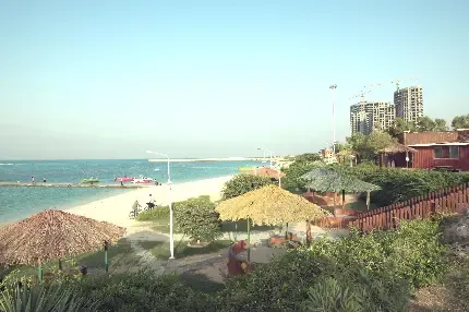  عکس کیش برای پروفایل