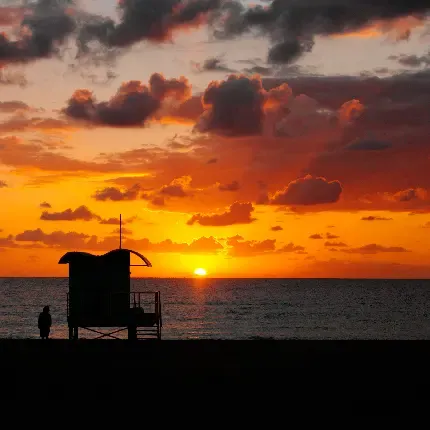  عکس کیش برای پروفایل