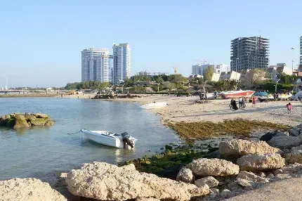  عکس کیش برای پروفایل