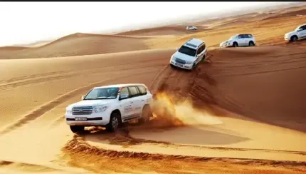  عکس کیش برای پروفایل