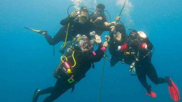  عکس جزیره قشم