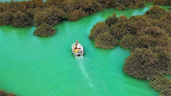  عکس جزیره قشم