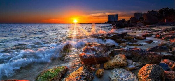  عکس کیش واقعی