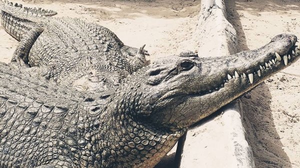 عکس جزیره قشم از بالا