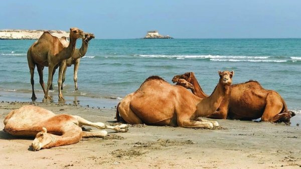  عکس جزیره قشم از بالا