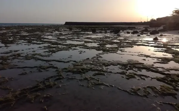  عکس جاهای دیدنی قشم در شب