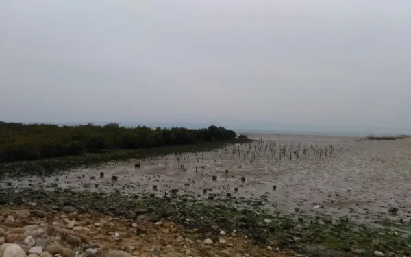  عکس جاهای دیدنی قشم در شب