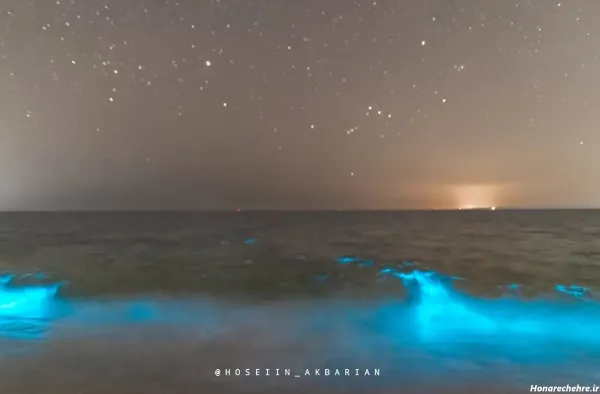 شب قشم کجا بریم نی نی سایت