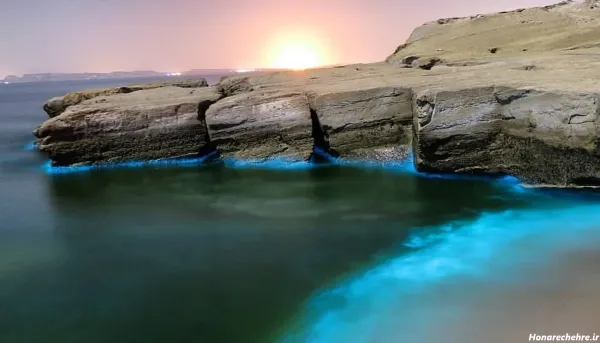 شب قشم کجا بریم نی نی سایت