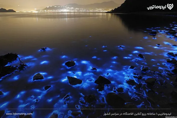 شب قشم کجا بریم نی نی سایت