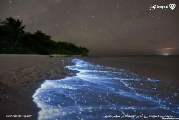 عکس ساحل قشم در شب