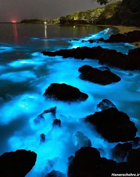 شب قشم کجا بریم نی نی سایت