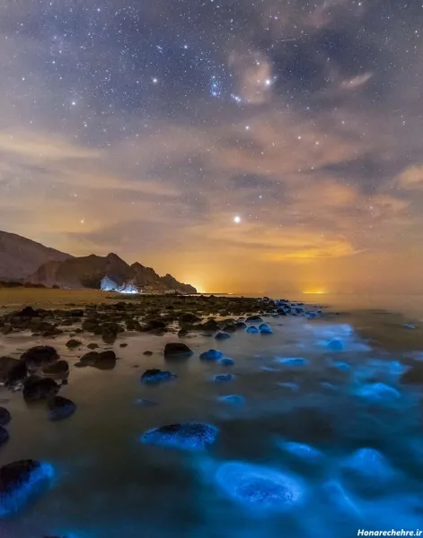 شب قشم کجا بریم نی نی سایت