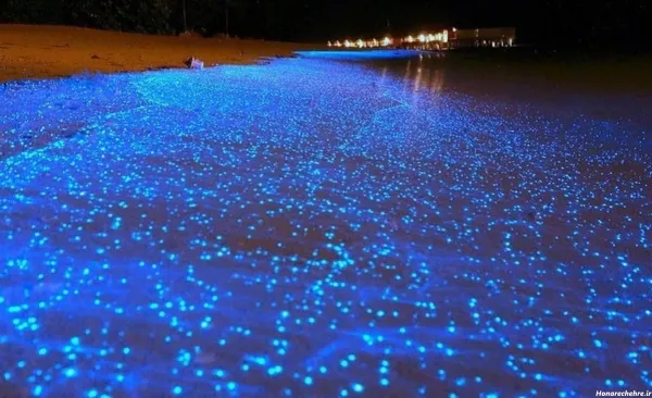 شب قشم کجا بریم نی نی سایت