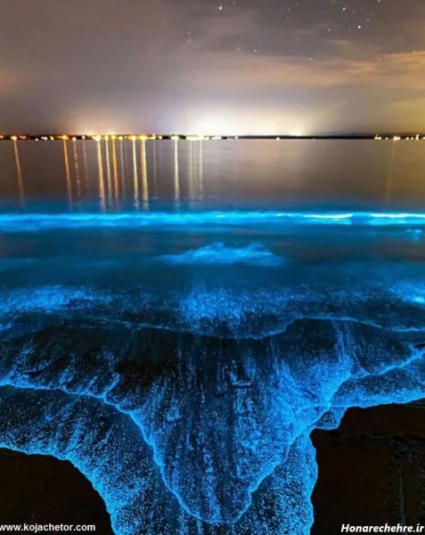 شب قشم کجا بریم نی نی سایت