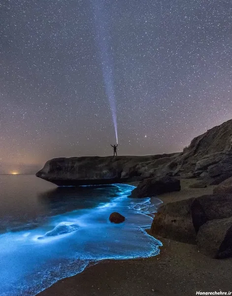 شب قشم کجا بریم نی نی سایت