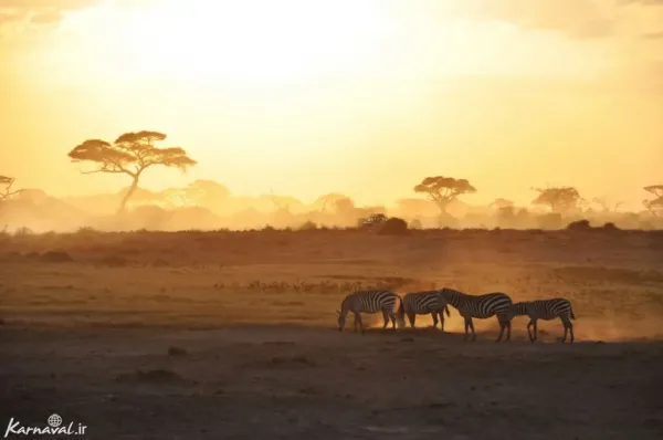  عکس با طلوع افتاب