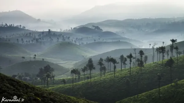  عکس با طلوع افتاب