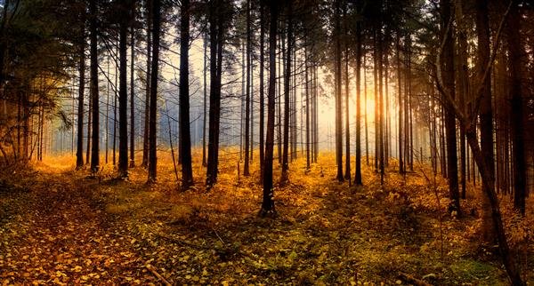  عکس طلوع پاییزی