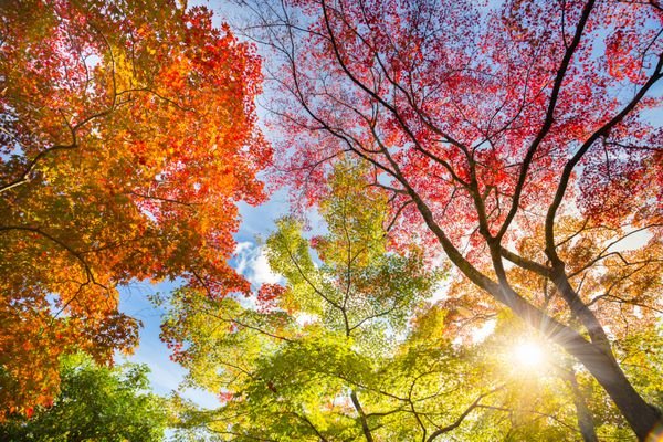  عکس طلوع پاییزی