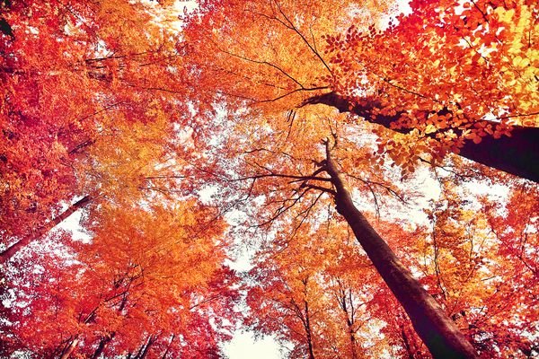  عکس طلوع پاییزی