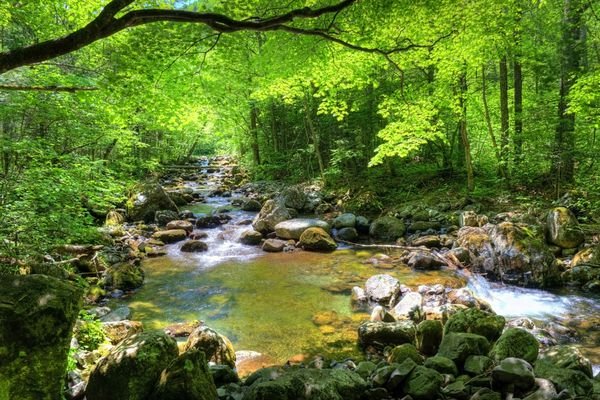  عکس طلوع پاییزی