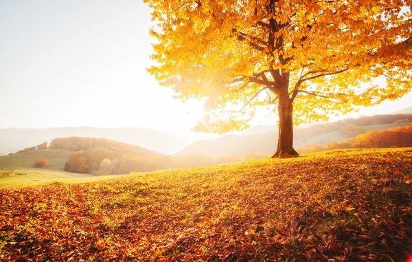  عکس طلوع پاییزی