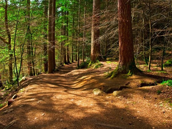  عکس طلوع پاییزی