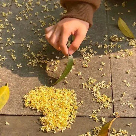  عکس خورشید برای پروفایل