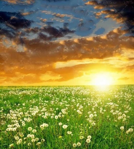  87 عکس پروفایل طلوع