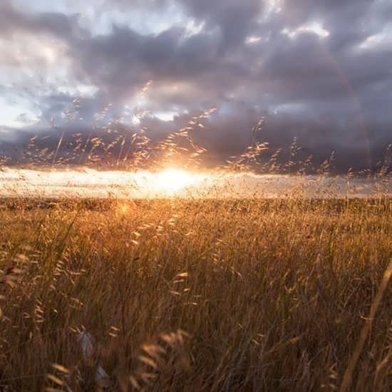  87 عکس پروفایل طلوع