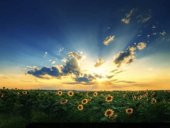  87 عکس پروفایل طلوع