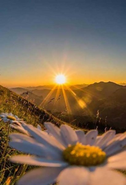  87 عکس پروفایل طلوع