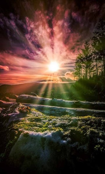  87 عکس پروفایل طلوع