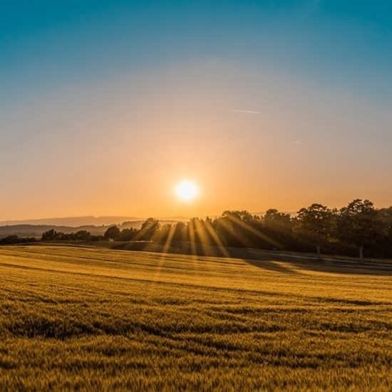  87 عکس پروفایل طلوع