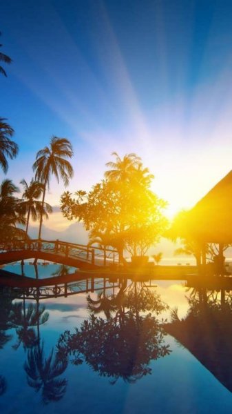  87 عکس پروفایل طلوع